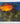 18”x24” open edition signed print - Enchanted Rose Garden Nightfall