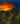 Enchanted Rose Garden Nightfall - Original Painting by Blake Shanley