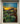 Enchanted Rose Garden Summer Evening - Original Painting by Blake Shanley