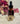 Rose Petal Elixir - La Abeja Herbs
